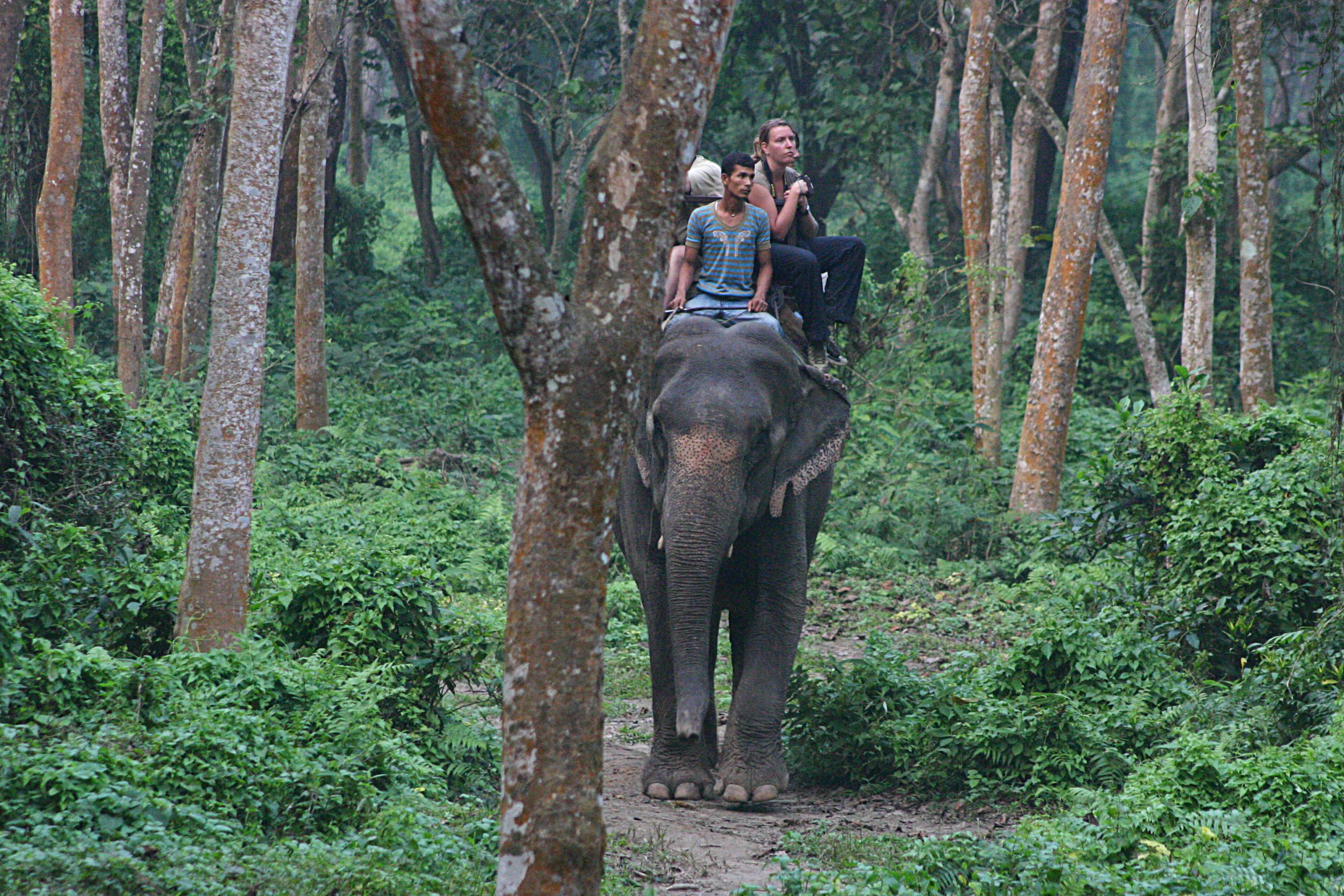 Bardia National Park – 7 Days